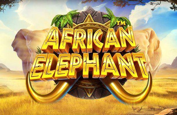 African Elephant